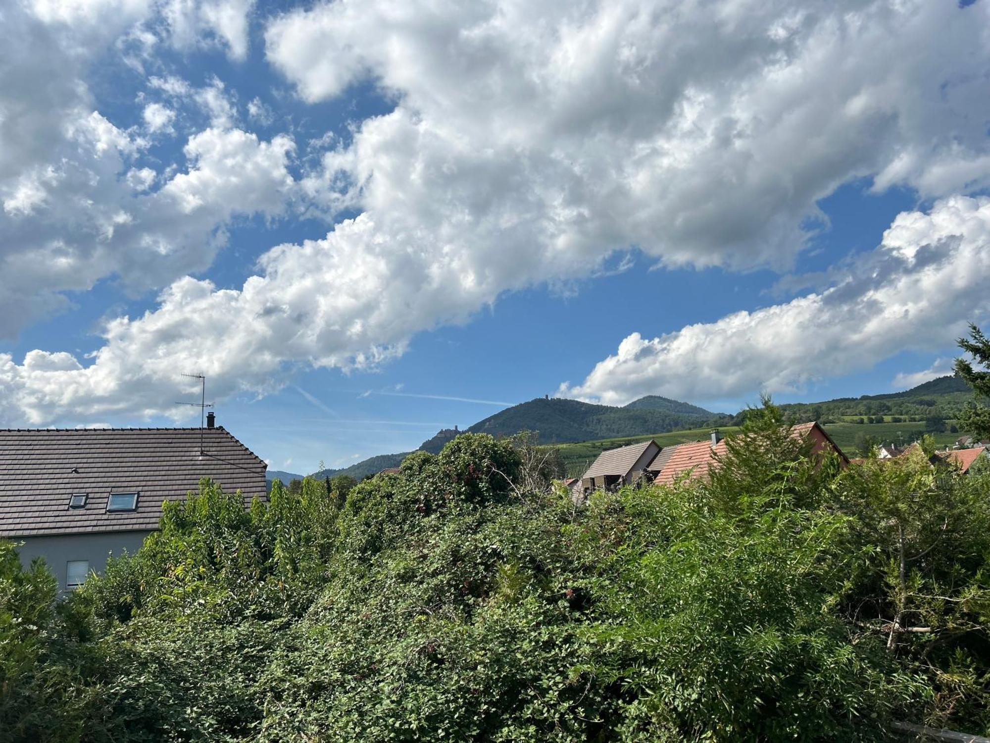 Gite Neuf En Duplex Tout Confort รีโบวิลเล ภายนอก รูปภาพ